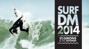 surfDM_2014