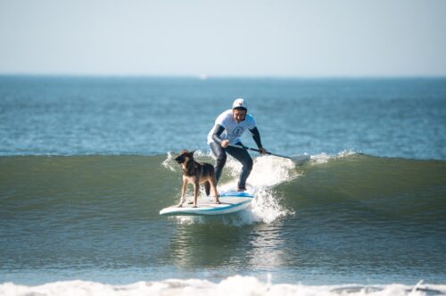 Ein Mann auf einem SUP Surf Board mit Hund